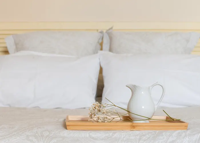 Apartamento Jm8-clásico Y Espacioso En Pleno Centro De Santander